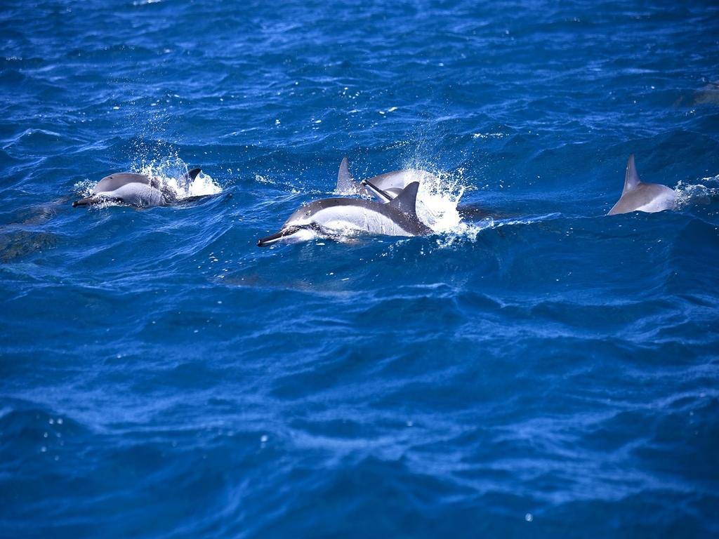 Happy Days Guest House Le Morne Exterior foto